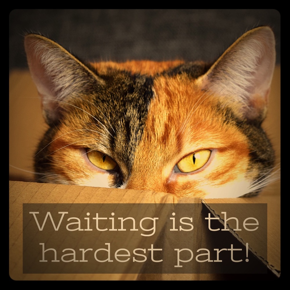 Notes on Shipping